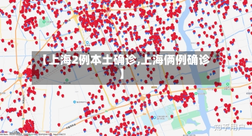 【上海2例本土确诊,上海俩例确诊】-第2张图片
