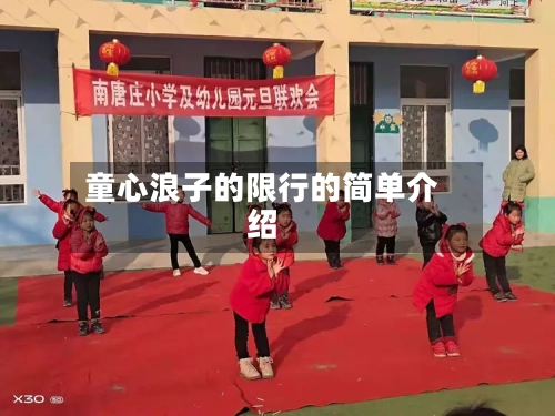 童心浪子的限行的简单介绍-第3张图片