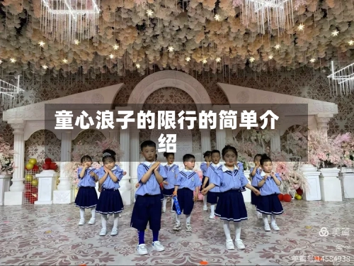 童心浪子的限行的简单介绍