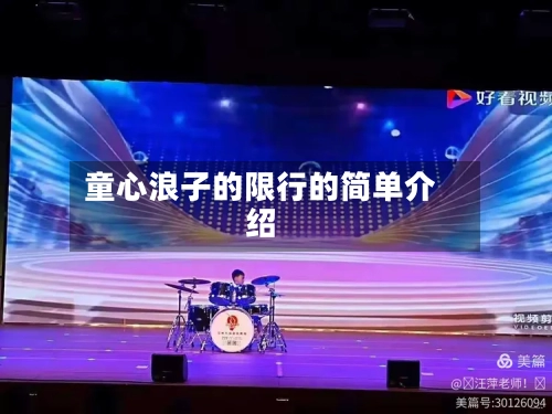童心浪子的限行的简单介绍-第2张图片