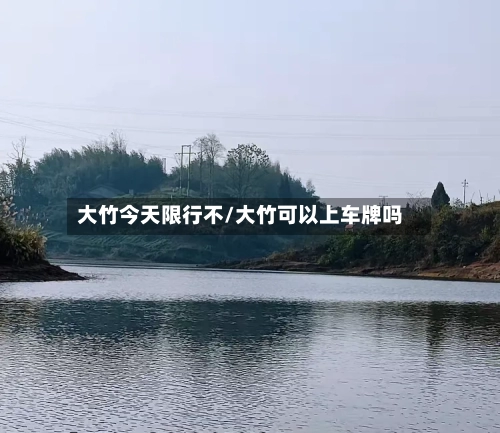 大竹今天限行不/大竹可以上车牌吗-第2张图片