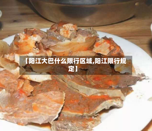 【阳江大巴什么限行区域,阳江限行规定】-第2张图片