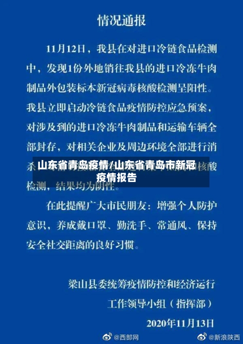 山东省青岛疫情/山东省青岛市新冠疫情报告