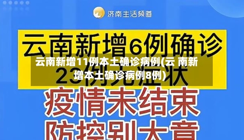 云南新增11例本土确诊病例(云 南新增本土确诊病例8例)-第2张图片