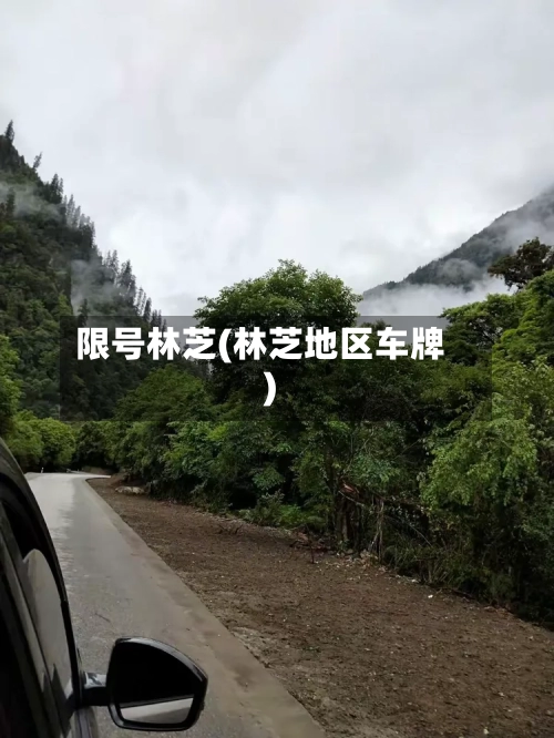 限号林芝(林芝地区车牌)
