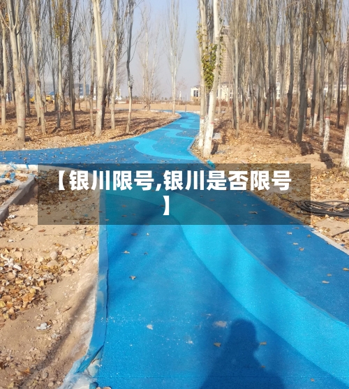【银川限号,银川是否限号】-第3张图片
