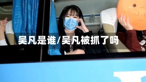 吴凡是谁/吴凡被抓了吗