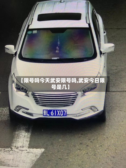 【限号吗今天武安限号吗,武安今日限号是几】-第3张图片