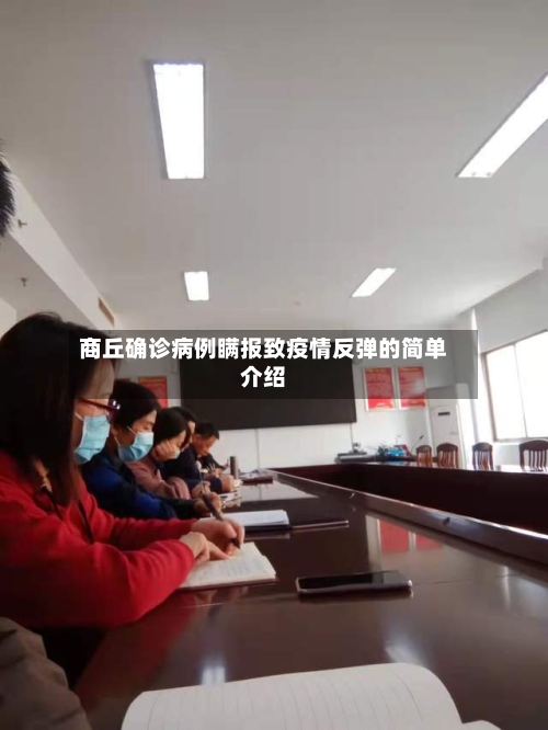 商丘确诊病例瞒报致疫情反弹的简单介绍-第2张图片