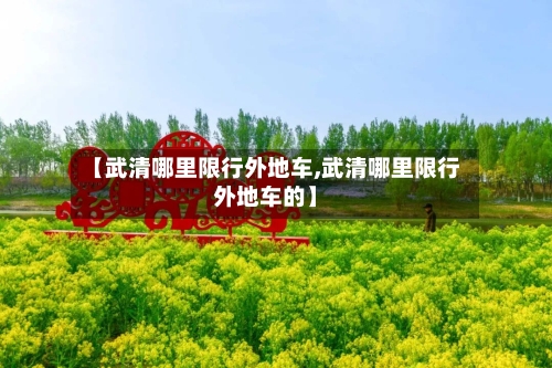 【武清哪里限行外地车,武清哪里限行外地车的】