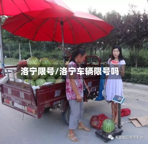 洛宁限号/洛宁车辆限号吗