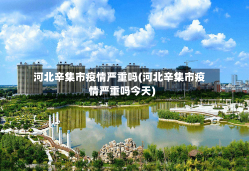 河北辛集市疫情严重吗(河北辛集市疫情严重吗今天)-第3张图片