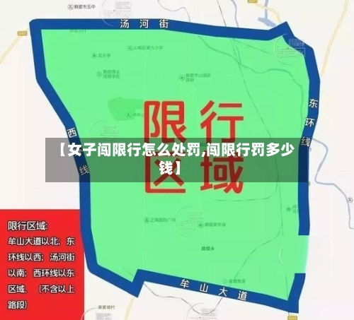【女子闯限行怎么处罚,闯限行罚多少钱】-第3张图片