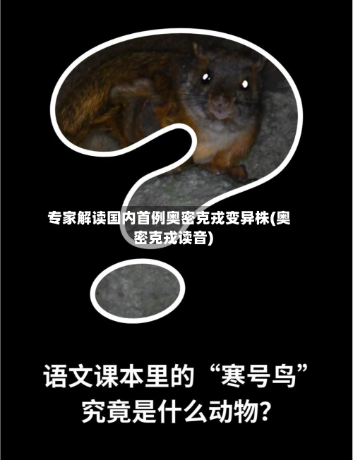 专家解读国内首例奥密克戎变异株(奥密克戎读音)-第2张图片