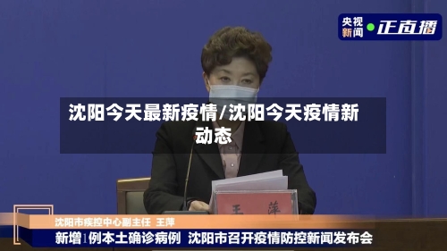沈阳今天最新疫情/沈阳今天疫情新动态-第3张图片