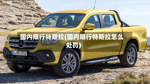 国内限行特斯拉(国内限行特斯拉怎么处罚)-第3张图片