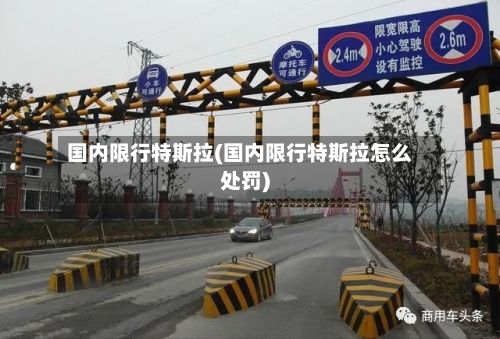 国内限行特斯拉(国内限行特斯拉怎么处罚)