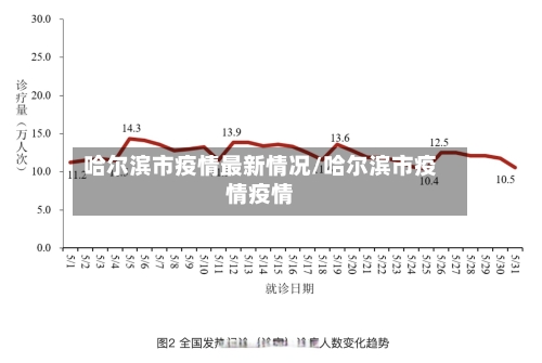 哈尔滨市疫情最新情况/哈尔滨市疫情疫情-第2张图片
