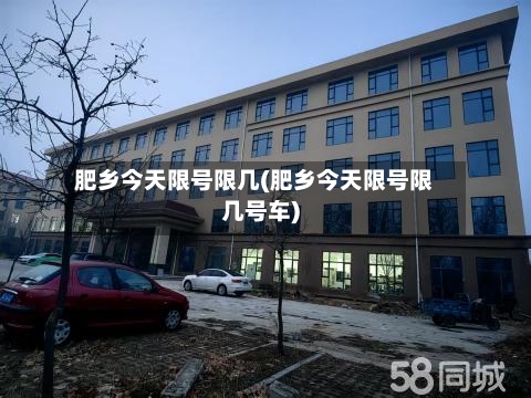 肥乡今天限号限几(肥乡今天限号限几号车)