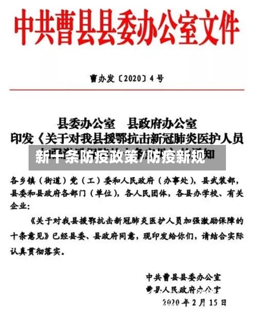 新十条防疫政策/防疫新规-第2张图片