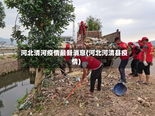 河北清河疫情最新消息(河北河清县疫情)-第2张图片
