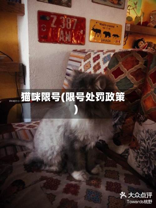 猫咪限号(限号处罚政策)