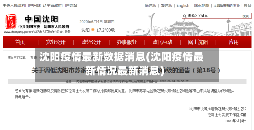 沈阳疫情最新数据消息(沈阳疫情最新情况最新消息)-第3张图片