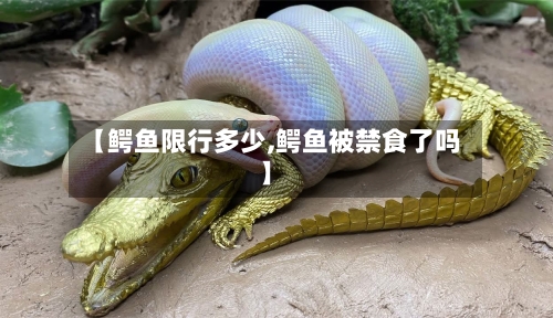 【鳄鱼限行多少,鳄鱼被禁食了吗】
