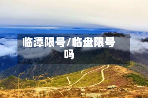 临潭限号/临盘限号吗-第3张图片