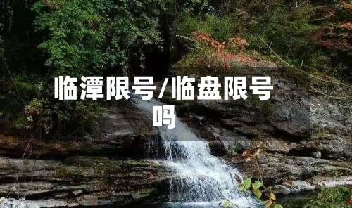 临潭限号/临盘限号吗-第2张图片