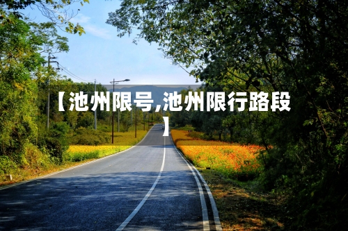 【池州限号,池州限行路段】