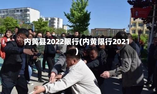 内黄县2022限行(内黄限行2021)-第3张图片