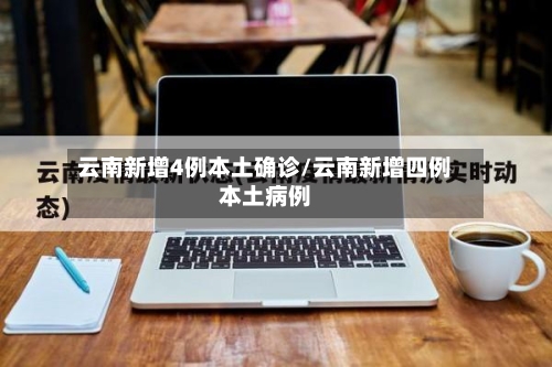 云南新增4例本土确诊/云南新增四例本土病例