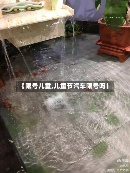 【限号儿童,儿童节汽车限号吗】-第2张图片