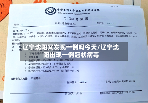 辽宁沈阳又发现一例吗今天/辽宁沈阳出现一例冠状病毒-第3张图片