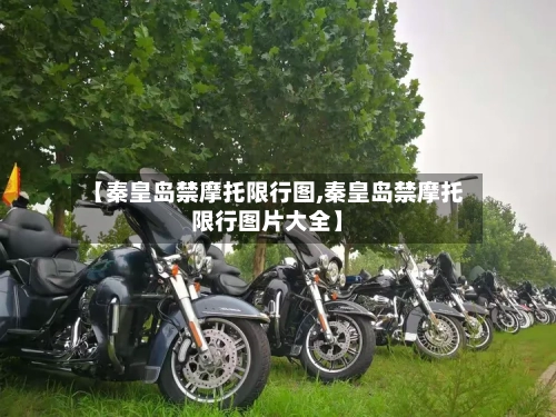 【秦皇岛禁摩托限行图,秦皇岛禁摩托限行图片大全】