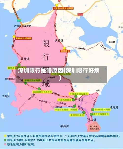 深圳限行是啥原因(深圳限行好烦)
