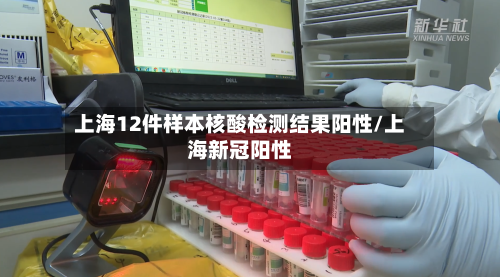 上海12件样本核酸检测结果阳性/上海新冠阳性