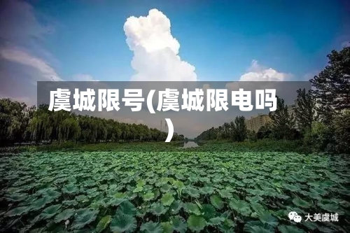虞城限号(虞城限电吗)-第2张图片