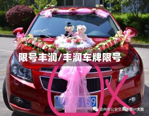 限号丰润/丰润车牌限号