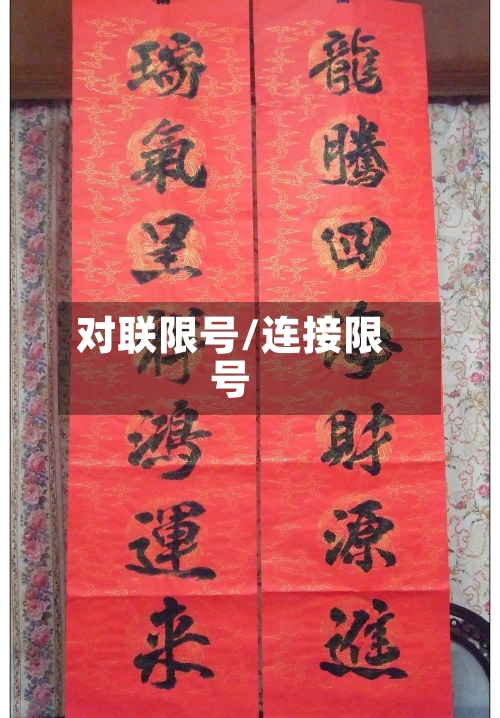 对联限号/连接限号