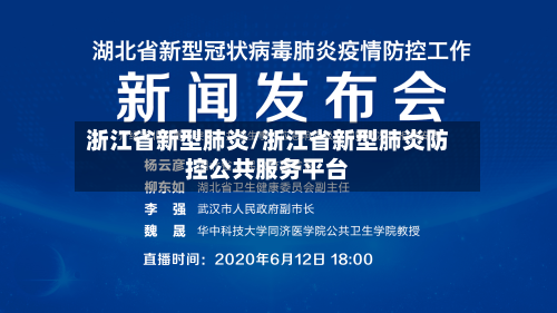 浙江省新型肺炎/浙江省新型肺炎防控公共服务平台