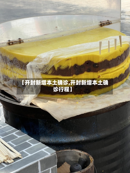 【开封新增本土确诊,开封新增本土确诊行程】-第2张图片