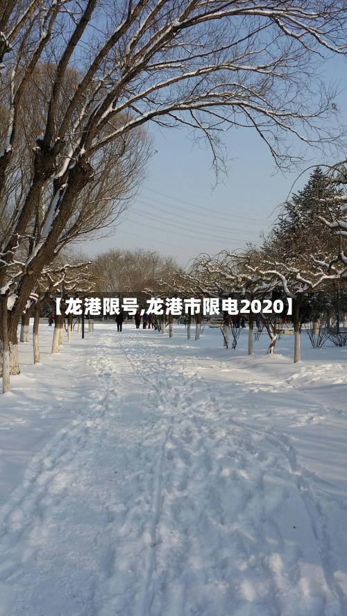 【龙港限号,龙港市限电2020】