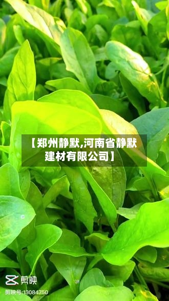 【郑州静默,河南省静默建材有限公司】-第3张图片