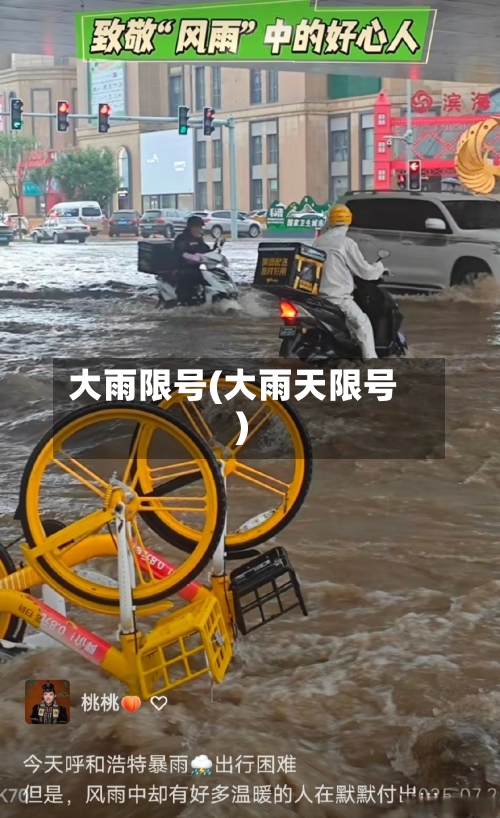 大雨限号(大雨天限号)-第3张图片