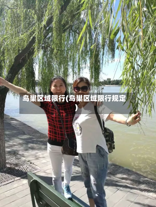 鸟巢区域限行(鸟巢区域限行规定)-第3张图片