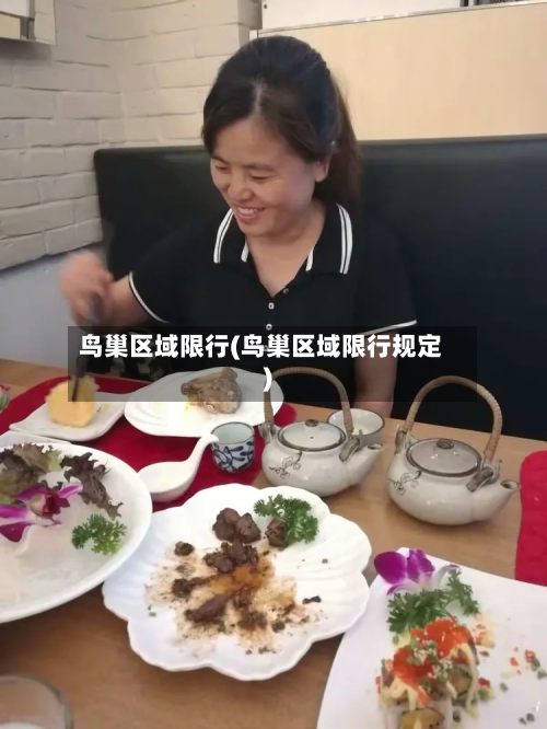 鸟巢区域限行(鸟巢区域限行规定)