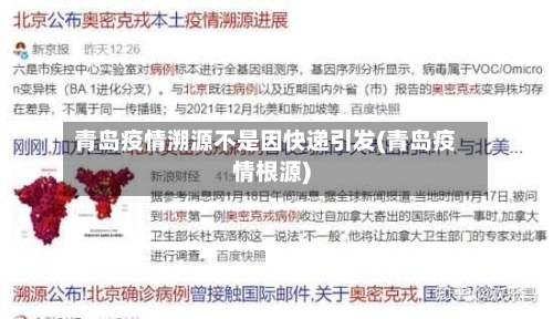 青岛疫情溯源不是因快递引发(青岛疫情根源)-第2张图片