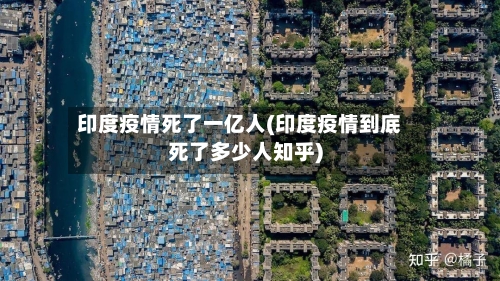 印度疫情死了一亿人(印度疫情到底死了多少人知乎)-第2张图片